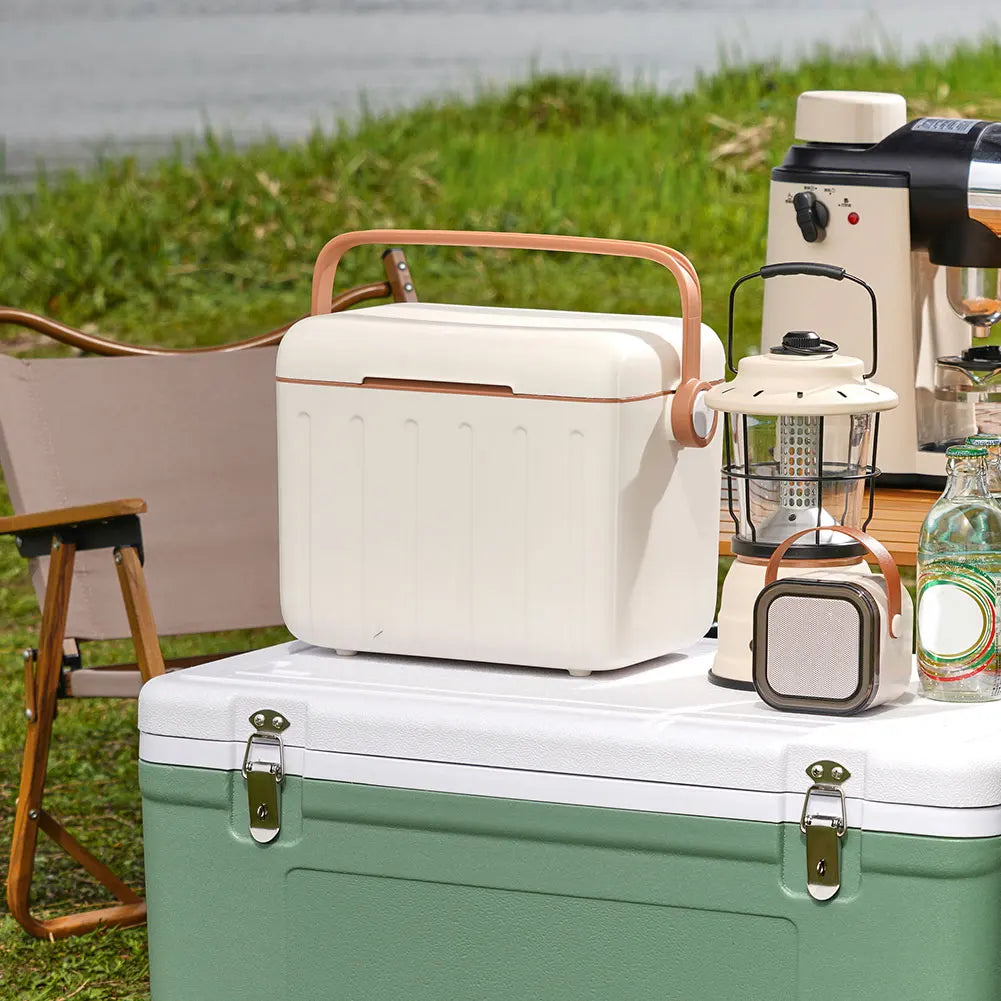 Portable 6L Insulated Ice Cooler Box
