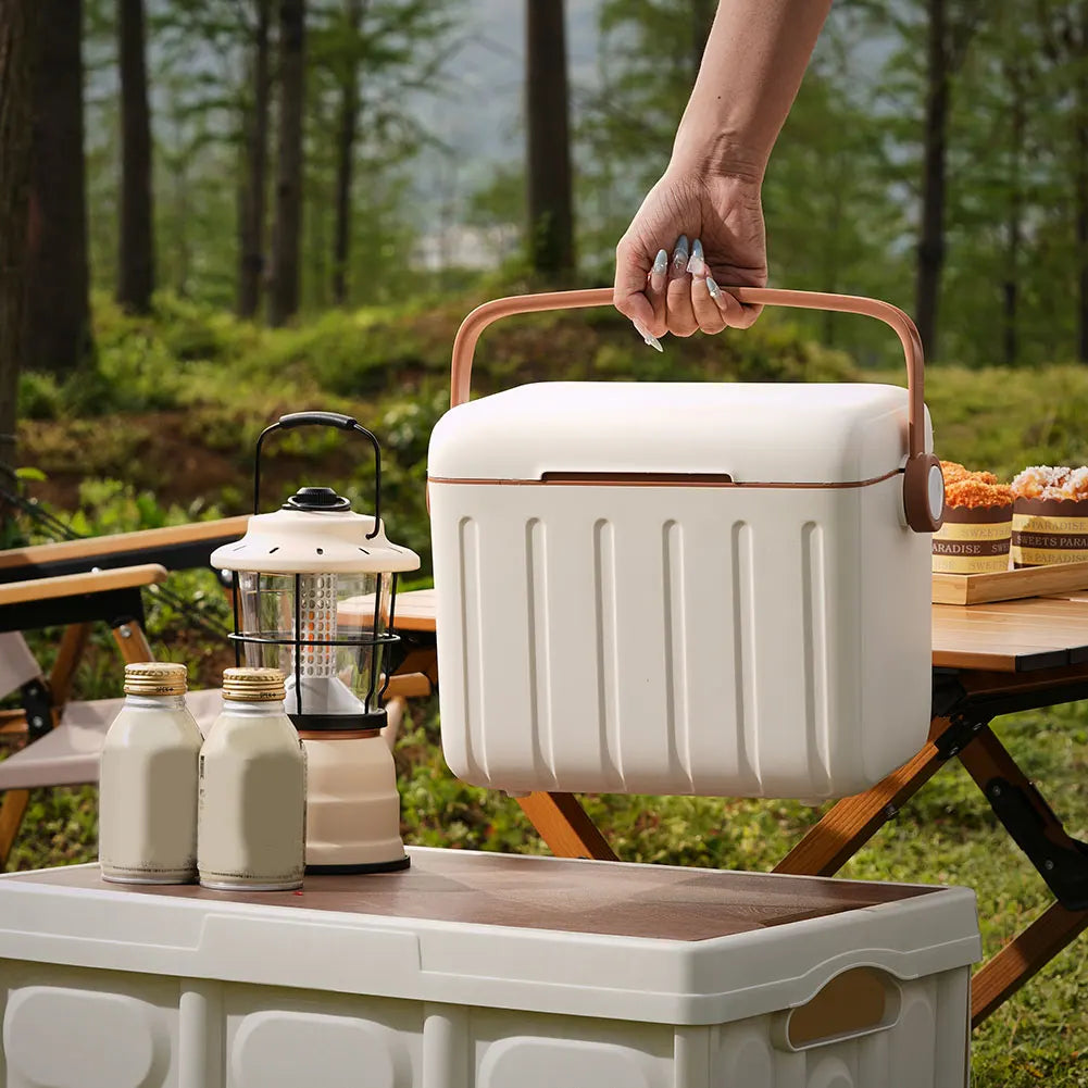 Portable 6L Insulated Ice Cooler Box