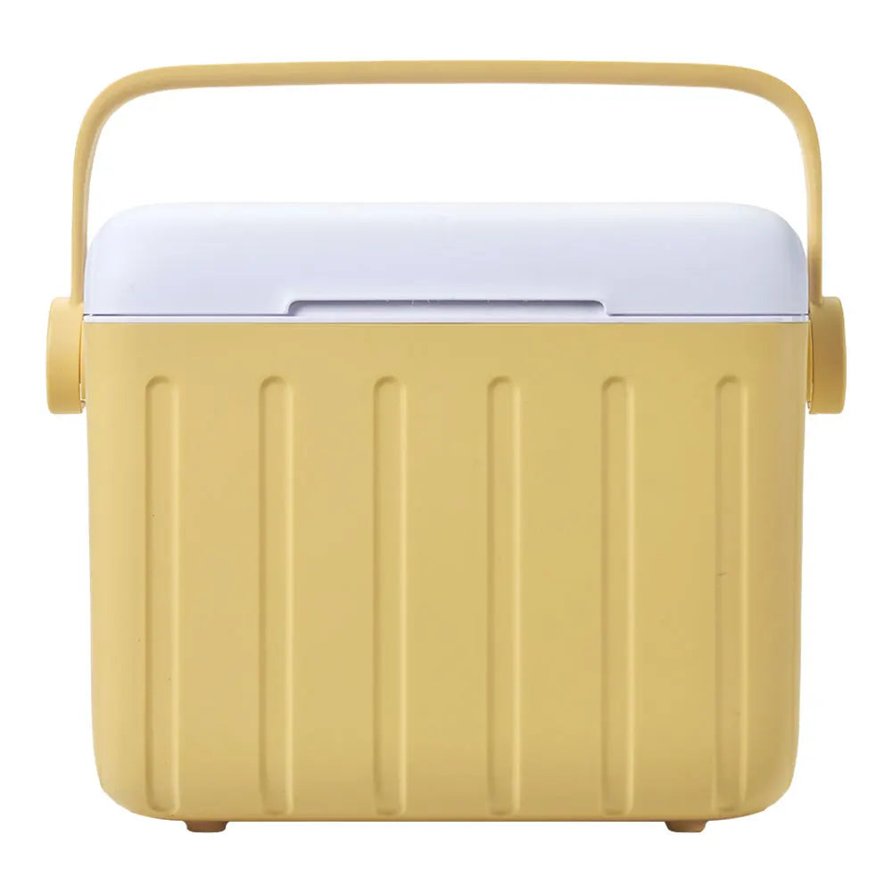 Portable 6L Insulated Ice Cooler Box