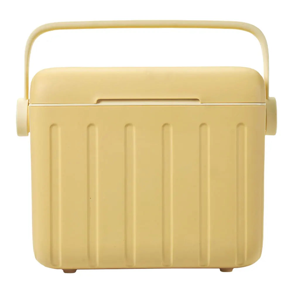 Portable 6L Insulated Ice Cooler Box